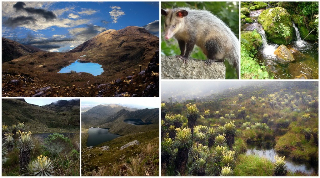 Iguaque Colombia