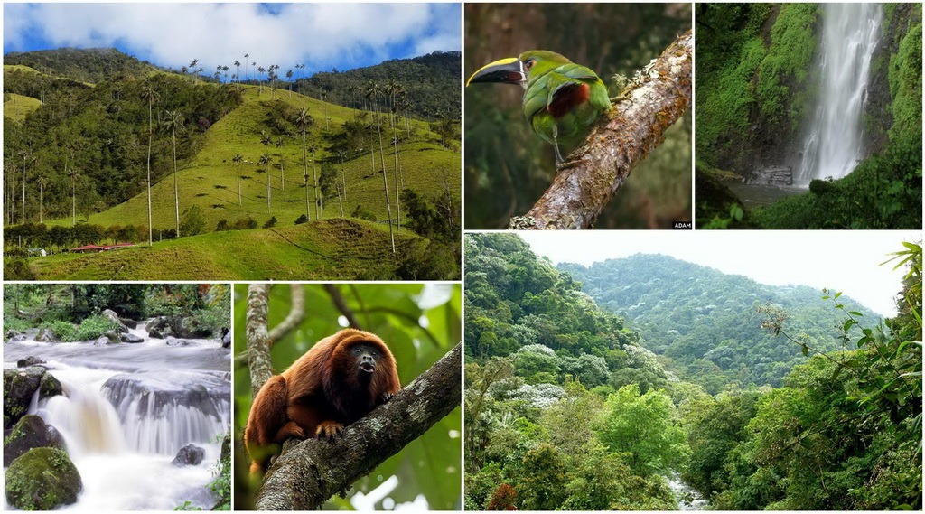 Otun_quimbaya_colombia