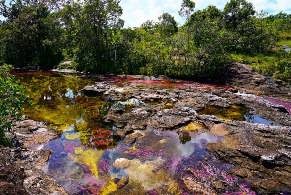 cano cristales
