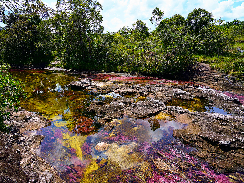 cano cristales