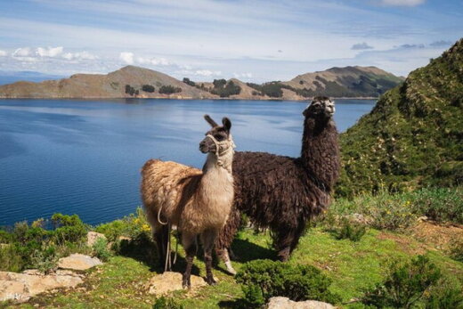 Les yeux dans le bleu / Bolivie - Pérou